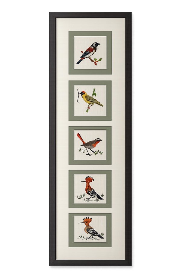 Black frame with five-aperture mount holding bird illustrations